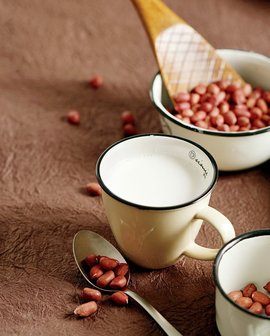 不銹鋼振動(dòng)篩-花生奶過濾振動(dòng)篩